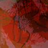 Ŭϸū׸ֽϴ